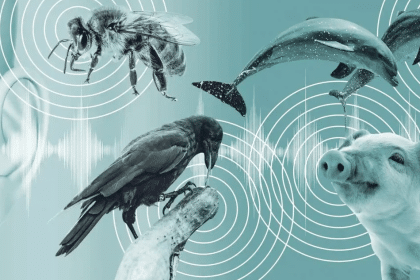 İnsanlık bir atılımın eşiğinde. Çok yakında yapay zekâ hayvanları anlamayı ve onlarla iletişim kurmayı öğrenebilecek.