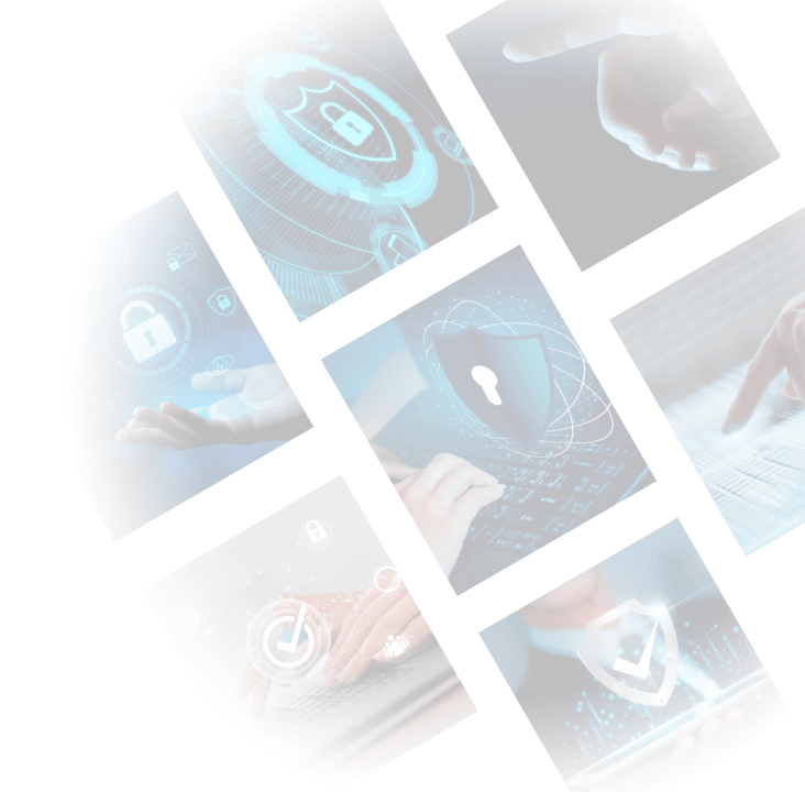 Novmask Hukuki Süreç